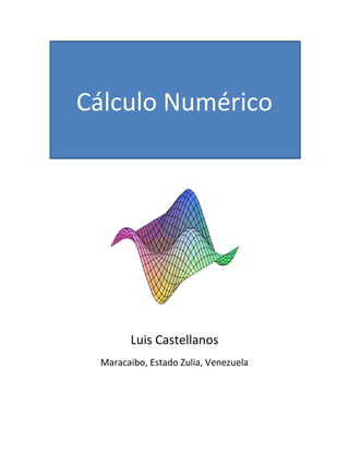 Cálculo Numérico
Luis Castellanos
Maracaibo, Estado Zulia, Venezuela
 