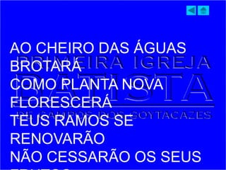 AO CHEIRO DAS ÁGUAS
BROTARÁ
COMO PLANTA NOVA
FLORESCERÁ
TEUS RAMOS SE
RENOVARÃO
NÃO CESSARÃO OS SEUS
 