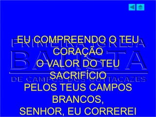 EU COMPREENDO O TEU
CORAÇÃO
O VALOR DO TEU
SACRIFÍCIO
PELOS TEUS CAMPOS
BRANCOS,
SENHOR, EU CORREREI
 