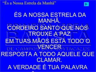 ÉS A NOSSA ESTRELA DA
MANHÃ.
CORDEIRO SANTO QUE NOS
TROUXE A PAZ
EM TUAS MÃOS ESTÁ TODO O
VENCER
RESPOSTA A TODO AQUELE QUE
CLAMAR.
A VERDADE É TUA PALAVRA
“És a Nossa Estrela da Manhã”
 