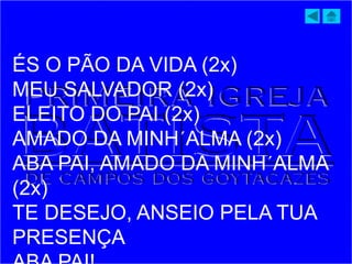 ÉS O PÃO DA VIDA (2x)
MEU SALVADOR (2x)
ELEITO DO PAI (2x)
AMADO DA MINH´ALMA (2x)
ABA PAI, AMADO DA MINH´ALMA
(2x)
TE DESEJO, ANSEIO PELA TUA
PRESENÇA
 