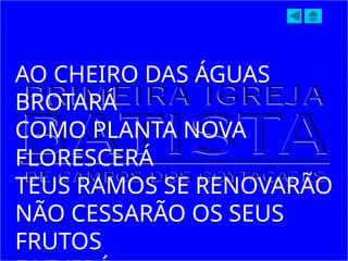 AO CHEIRO DAS ÁGUAS
BROTARÁ
COMO PLANTA NOVA
FLORESCERÁ
TEUS RAMOS SE RENOVARÃO
NÃO CESSARÃO OS SEUS
FRUTOS
 