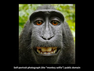 https://en.wikipedia.org/wiki/Monkey_selﬁe
• Self-portrait photograph (the "monkey selﬁe") public domain
 