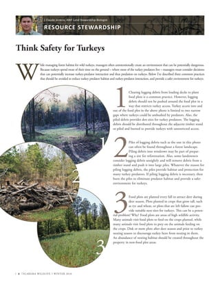 Alabama Wildlife WINTER 20108
Think Safety for Turkeys
W
hile managing forest habitat for wild turkeys, managers often unintentionally create an environment that can be potentially dangerous.
Because turkeys spend most of their time on the ground – where most of the turkey predators live – managers must consider decisions
that can potentially increase turkey-predator interaction and thus predation on turkeys. Below I’ve described three common practices
that should be avoided to reduce turkey predator habitat and turkey-predator interaction, and provide a safer environment for turkeys.
1Clearing logging debris from loading decks to plant
food plots is a common practice. However, logging
debris should not be pushed around the food plot in a
way that restricts turkey access. Turkey access into and
out of the food plot in the above photo is limited to two narrow
gaps where turkeys could be ambushed by predators. Also, the
piled debris provides den sites for turkey predators. The logging
debris should be distributed throughout the adjacent timber stand
or piled and burned to provide turkeys with unrestricted access.
2Piles of logging debris such as the one in this photo
can often be found throughout a forest landscape.
Piling debris into windrows may be part of prepar-
ing a site for reforestation. Also, some landowners
consider logging debris unsightly and will remove debris from a
timber stand and push it into large piles. Whatever the reason for
piling logging debris, the piles provide habitat and protection for
many turkey predators. If piling logging debris is necessary, then
burn the piles to eliminate predator habitat and provide a safer
environment for turkeys.
3Food plots are planted every fall to attract deer during
deer season. Plots planted in crops that grow tall, such
as rye and wheat, or plots that are left fallow can pro-
vide suitable nest sites for turkeys. This can be a poten-
tial problem! Why? Food plots are areas of high wildlife activity.
Many animals visit food plots to feed on the crops planted, while
many animals visit food plots to prey on the animals feeding on
the crops. Disk or mow plots after deer season and prior to turkey
nesting season to discourage turkey hens from nesting in them.
An abundance of nesting habitat should be created throughout the
property in non-food plot areas.
RESOURCE STEWARDSHIP
| Claude Jenkins, AWF Land Stewardship Biologist
1
2
3
 
