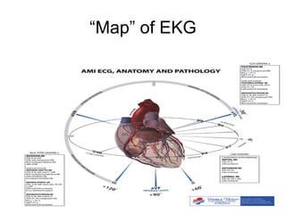 “Map” of EKG
 