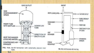 Bioreactors (Fermenters) | PPTX