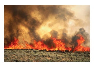 GMFRS wildfire report Updated 300615