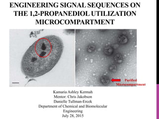 ENGINEERING SIGNALSEQUENCES ON
THE 1,2-PROPANEDIOLUTILIZATION
MICROCOMPARTMENT
Kamaria Ashley Kermah
Mentor: Chris Jakobson
Danielle Tullman-Ercek
Department of Chemical and Biomolecular
Engineering
July 28, 2015
Purified
Microcompartment
 
