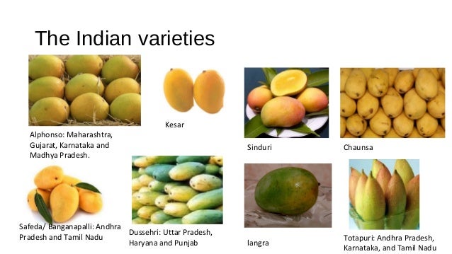 mango varieties in tamil