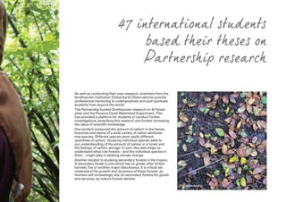 As well as conducting their own research, scientists from the
Smithsonian Institution Global Earth Observatories provide
professional mentoring to undergraduate and post-graduate
students from around the world.
The Partnership funded Smithsonian research on 42 forest
plots and the Panama Canal Watershed Experiment. This
has provided a platform for students to conduct further
investigations, extending this research and further increasing
the value of scientific knowledge.
One student measured the amount of carbon in the leaves,
branches and stems of a wide variety of native rainforest
tree species. Different species store vastly different
quantities of carbon. Studying individual species adds to
our understanding of the amount of carbon in a forest and
the biology of carbon storage. In turn, this data helps us
understand what role forests – and the individual species in
them – might play in tackling climate change.
Another student is studying secondary forests in the tropics.
A secondary forest is one which has re-grown after timber
harvest, fire or another major disturbance. It is critical we
understand the growth and dynamics of these forests, as
humans will increasingly rely on secondary forests for goods
and services, as mature forests decline.
47 international students
based their theses on
Partnership research
© Pamela Belding
 