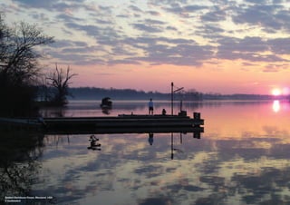Eastern Deciduous Forest, Maryland, USA
© Earthwatch
 
