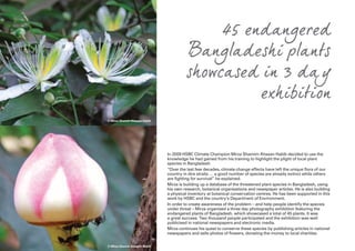 In 2009 HSBC Climate Champion Mirza Shamim Ahasan Habib decided to use the
knowledge he had gained from his training to highlight the plight of local plant
species in Bangladesh.
“Over the last few decades, climate change effects have left the unique flora of our
country in dire straits … a good number of species are already extinct while others
are fighting for survival” he explained.
Mirza is building up a database of the threatened plant species in Bangladesh, using
his own research, botanical organisations and newspaper articles. He is also building
a physical inventory at botanical conservation centres. He has been supported in this
work by HSBC and the country’s Department of Environment.
In order to create awareness of the problem – and help people identify the species
under threat – Mirza organised a three day photography exhibition featuring the
endangered plants of Bangladesh, which showcased a total of 45 plants. It was
a great success. Two thousand people participated and the exhibition was well
publicised in national newspapers and electronic media.
Mirza continues his quest to conserve these species by publishing articles in national
newspapers and sells photos of flowers, donating the money to local charities.
45 endangered
Bangladeshi plants
showcased in 3 day
exhibition
© Mirza Shamin Ahasam Habib
© Mirza Shamin Ahasam Habib
 