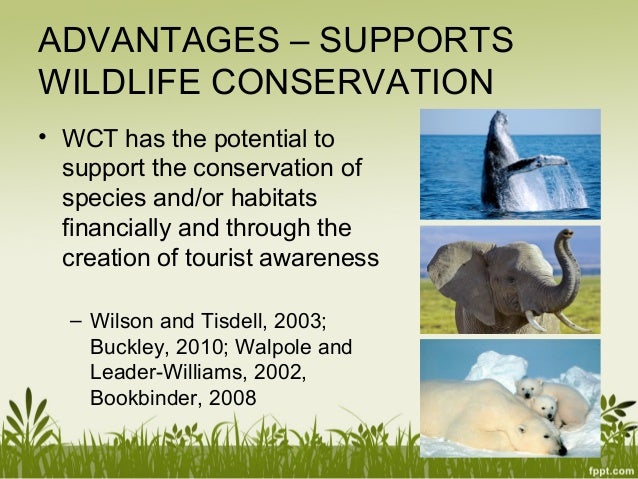 benefits of wildlife tourism
