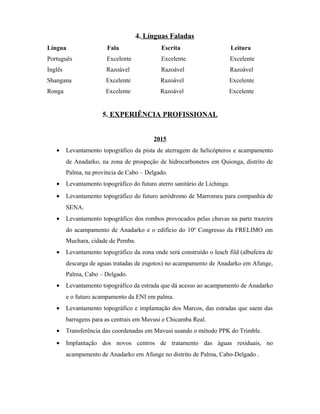 Meu CV actualizado | DOC