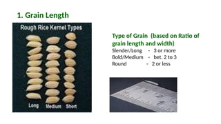 ANATOMY AND PHYSICAL PROPERTIES OF RICE GRAIN (1).pptx