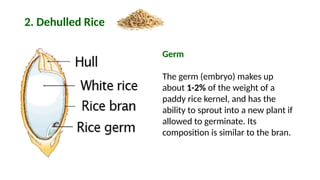 ANATOMY AND PHYSICAL PROPERTIES OF RICE GRAIN (1).pptx