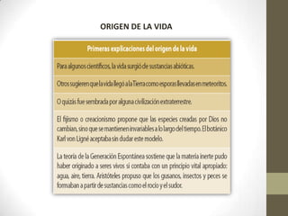 ORIGEN DE LA VIDA
 