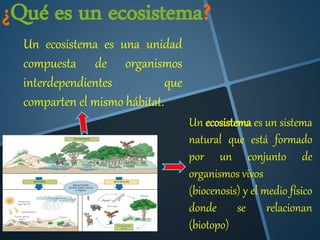 ¿Qué es un ecosistema? 
Un ecosistema es una unidad 
compuesta de organismos 
interdependientes que 
comparten el mismo hábitat. 
Un ecosistema es un sistema 
natural que está formado 
por un conjunto de 
organismos vivos 
(biocenosis) y el medio físico 
donde se relacionan 
(biotopo) 
 