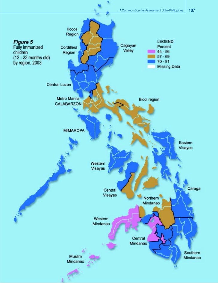 A Common Country Assessment of the Philippines 103-118