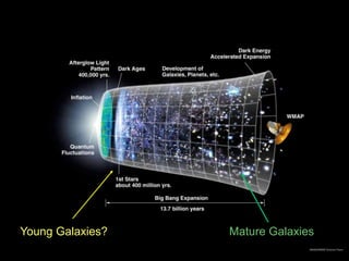 Young Galaxies? Mature Galaxies
 