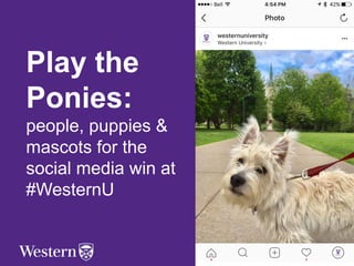 Play the
Ponies:
people, puppies &
mascots for the
social media win at
#WesternU
Communications & Public Affairs
 