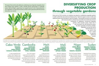 DIVERSIFYING CROP
PRODUCTION
through vegetable gardens
Cabo Verde
BANANA,
PAPAYA,
SWEET POTATO,
CASSAVA, SUGAR CANE
In sites targeted by the
project, drip-irrigation was
introduced to increase fruit
and vegetable production
in terraced fields.
Cambodia
EGGPLANT,
MORNING GLORY,
YARD LONG BEANS,
CHILLI, CABBAGE
The CCAF project
supported home gardens,
a traditional practice, by
providing access to water in
the off-season, to provide
food and generate revenues
throughout the year.
Haiti
BEANS,
PINEAPPLE,
PEPPER, MELON,
EGGPLANT
Le Plan de Ferme
supported farmers to
develop individualized
farming plans, in order to
adapt their farming plots to
grow more diverse and
resilient crops.
Mali
TOMATO,
GROUNDNUTS
(PEANUTS), BEANS,
LETTUCE, POTATO
Women’s collective
action groups established
cooperative vegetable
gardens with access to
water, tools and land by the
project, to diversify their
food and livelihoods.
Niger
GREEN MAIZE,
CABBAGE,
LETTUCE,
TOMATO, CASSAVA
The CCAF project helped
groups of women secure
collective plots of land
to grow vegetables by
facilitating leasing of land
from private landowners.
Sudan
SQUASH/PUMPKIN,
TOMATO, POTATO,
OKRA, CUCUMBER
Individual home gardens,
or Jubraka, are supported
under the project to
diversify food crops,
particularly in the dry
season.
Across all six CCAF countries, an emphasis was placed on establishing vegetable gardens
in order to diversify crops and ensure food security. Technical support, access to water and
additional inputs were provided to make this happen. These gardens proved to successfully
alter seasonal patterns of food insecurity while also reinforcing women’s
contribution to adaptation. Introducing vegetable
gardens, which provide variety, means that if
one crop doesn’t do well during the season,
the other vegetables will still be available.
Vegetables can then be used to
feedthefamily,orcan
be sold on the
local market
to generate
additional
income.
Thistypeofinterventionalsoaddressesunderlyingissuesofgenderinequality.Given
that tending home gardens is often a female practice (particularly in Cambodia,
Sudan, Mali and Niger), supporting it can expand women’s role in food production.
Thevegetablescanhelpimprovefamilynutritionand/orgenerateprofitthatwomen
themselves can control.
Adaptive Farms Resilient Table	 21
 