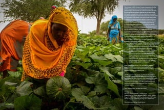 The Canada-UNDP Climate Change Adaptation Facility
(CCAF) incorporates six national projects and one
global project. Each of the six national projects focuses
on strengthening resilient approaches to agriculture
and water management, with an emphasis on gender-
responsive strategies. These national projects are located
in: Cambodia, Cape Verde, Haiti, Mali, Niger and Sudan.
In addition, a complementary global component aims
to promote South-South cooperation between the six
countries and enhance understanding and analysis
of these adaptation initiatives, especially the gender
dimensions. This global component has three outcomes:
i) establishing cooperation and communication among
the six national projects , ii) enhancing effective
knowledge management on the experiences and lessons
emerging from this portfolio, and iii) ensuring that results
related to gender are documented and shared to inform
broader gender-responsive adaptation practices.
To meet these outcomes, the global component has
worked on three areas of activities:
1.	 Community of Practice: Establish a community of
practice amongst the six national project teams
to share experiences and lessons learned that will
inform and strengthen project activities
2.	 Substantive Analysis and Knowledge: Analyse
and document substantive experiences and
lessons learned from the CCAF portfolio and
disseminate them to inform adaptation projects
both within the CCAF and outside
3.	 Communication and Outreach: Showcase results
and communicate successes of CCAF national
projects to the global community
More information on the CCAF and specific products
generated from the activities implemented in the six
countries is available at the CCAF website here: http://
adaptation-undp.org/projects/ccaf
SUDANSUDAN
UNDP partners with people at all levels of society to
help build nations that can withstand crisis, and drive
and sustain the kind of growth that improves the quality
of life for everyone. On the ground in more than 170
countries and territories, we offer global perspective
and local insight to help empower lives and build
resilient nations.
Text: Andrea Egan, Jennifer Baumwoll
Photos:
Recipes and ingredients - Andrea Egan
Pages 4 and 12 - Imen Meliane; Page 2 - UNDP Sudan;
Page 8 - UNDP Haiti, UNDP Cambodia and UNDP Cabo
Verde; Page 32 - UNDP Niger; Page 38 - UNDP Haiti
		
Illustration and design: Ipsita Sarkar
 
