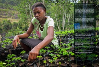 HAITI
Many people contributed, directly or indirectly, to the
creation of this cookbook. First, we wish to express
our gratitude to those who directly contributed to
the CCAF projects through their daily involvement,
knowledge, creativity and generosity: the women and
men who plant, water, weed, dig, bake, eat, sell, plan,
devise, speak out and make changes in their own lives
and in that of others. In each of the six CCAF countries,
these are the people who are finding new ways to
make these meals, feed their families, and celebrate
their culinary world in a changing climate.
We want to thank the teams in Cabo Verde, Cambodia,
Haiti, Mali, Niger, and Sudan, who made this cookbook
possible by providing detailed recipes, instructive
photos, and invaluable guidance. We are also very
grateful to the restaurants and markets in Boston,
U.S.A., that helped us procure ingredients and recreate
the recipes and be able to highlight the complexity
and nuance of these dishes. Most notably, we would
like to acknowledge Elephant Walk in Cambridge for
their generosity and support in the Cambodian section,
Restaurante Cesaria in Dorchester for supporting our
Cabo Verdean recipes, and Highland Creole Cuisine in
Somerville for the Haitian recipes. We appreciate how
supportive Pemberton Farms in Cambridge was in
sourcing local, fresh and unique ingredients for us to
create our dishes from Niger, Mali, and Sudan.
Special thanks to Karen Evans for providing food
styling advice; Misao Kanda for cooking, photography
and food styling support; Joe Hitchcock for photo
editing support; M. Dean Egan for lighting and camera
support; David Angelson and Ted Geary for multiple
trips to Asian and African markets; and Clare Stewart
for text editing support.
We would also like to thank our internal UNDP team for
contributing valuable insights and thoughtful editing
support. Special thanks to Stephen Gold for allowing
us to take a unique direction with this publication.
Andrea Egan, Ipsita Sarkar, and Jennifer Baumwoll.
 