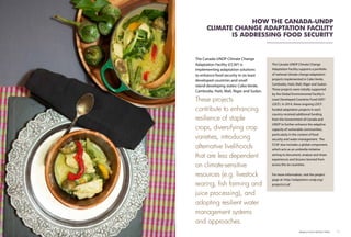 The Canada-UNDP Climate Change
Adaptation Facility supports a portfolio
of national climate change adaptation
projects implemented in Cabo Verde,
Cambodia, Haiti, Mali, Niger and Sudan.
These projects were initially supported
by the Global Environmental Facility’s
Least Developed Countries Fund (GEF/
LDCF). In 2014, these ongoing LDCF-
funded adaptation projects in each
country received additional funding
from the Government of Canada and
UNDP to further enhance the adaptive
capacity of vulnerable communities,
particularly in the context of food
security and water management. The
CCAF also includes a global component,
which acts as an umbrella initiative
aiming to document, analyse and share
experiences and lessons learned from
across the six countries.
For more information, visit the project
page at: http://adaptation-undp.org/
projects/ccaf
HOW THE CANADA-UNDP
CLIMATE CHANGE ADAPTATION FACILITY
IS ADDRESSING FOOD SECURITY
The Canada-UNDP Climate Change
Adaptation Facility (CCAF) is
implementing adaptation solutions
to enhance food security in six least
developed countries and small
island developing states: Cabo Verde,
Cambodia, Haiti, Mali, Niger and Sudan.
These projects
contribute to enhancing
resilience of staple
crops, diversifying crop
varieties, introducing
alternative livelihoods
that are less dependent
on climate-sensitive
resources (e.g. livestock
rearing, fish farming and
juice processing), and
adopting resilient water
management systems
and approaches.
Adaptive Farms Resilient Table	 11
 