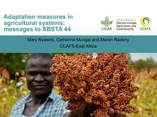 Mary Nyasimi, Catherine Mungai and Maren Radeny
CCAFS-East Africa
Adaptation measures in
agricultural systems:
messages to SBSTA 44
 