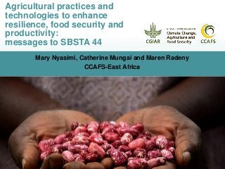 Mary Nyasimi, Catherine Mungai and Maren Radeny
CCAFS-East Africa
Agricultural practices and
technologies to enhance
resilience, food security and
productivity:
messages to SBSTA 44
 