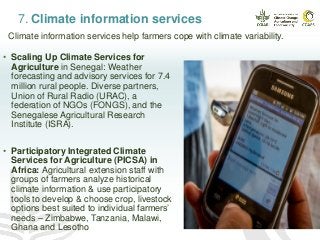 7. Climate information services
• Scaling Up Climate Services for
Agriculture in Senegal: Weather
forecasting and advisory services for 7.4
million rural people. Diverse partners,
Union of Rural Radio (URAC), a
federation of NGOs (FONGS), and the
Senegalese Agricultural Research
Institute (ISRA).
• Participatory Integrated Climate
Services for Agriculture (PICSA) in
Africa: Agricultural extension staff with
groups of farmers analyze historical
climate information & use participatory
tools to develop & choose crop, livestock
options best suited to individual farmers’
needs – Zimbabwe, Tanzania, Malawi,
Ghana and Lesotho
Climate information services help farmers cope with climate variability.
 