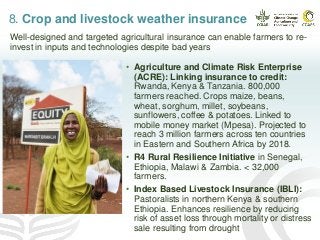 8. Crop and livestock weather insurance
• Agriculture and Climate Risk Enterprise
(ACRE): Linking insurance to credit:
Rwanda, Kenya & Tanzania. 800,000
farmers reached. Crops maize, beans,
wheat, sorghum, millet, soybeans,
sunflowers, coffee & potatoes. Linked to
mobile money market (Mpesa). Projected to
reach 3 million farmers across ten countries
in Eastern and Southern Africa by 2018.
• R4 Rural Resilience Initiative in Senegal,
Ethiopia, Malawi & Zambia. < 32,000
farmers.
• Index Based Livestock Insurance (IBLI):
Pastoralists in northern Kenya & southern
Ethiopia. Enhances resilience by reducing
risk of asset loss through mortality or distress
sale resulting from drought
Well-designed and targeted agricultural insurance can enable farmers to re-
invest in inputs and technologies despite bad years
 