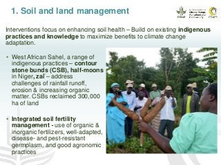 Interventions focus on enhancing soil health – Build on existing indigenous
practices and knowledge to maximize benefits to climate change
adaptation.
• West African Sahel, a range of
indigenous practices – contour
stone bunds (CSB), half-moons
in Niger, zaï – address
challenges of rainfall runoff,
erosion & increasing organic
matter. CSBs reclaimed 300,000
ha of land
• Integrated soil fertility
management - use of organic &
inorganic fertilizers, well-adapted,
disease- and pest-resistant
germplasm, and good agronomic
practices
1. Soil and land management
 