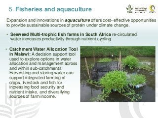 5. Fisheries and aquaculture
• Seeweed Multi-trophic fish farms in South Africa re-circulated
water increases productivity through nutrient cycling
Expansion and innovations in aquaculture offers cost- effective opportunities
to provide sustainable sources of protein under climate change.
• Catchment Water Allocation Tool
in Malawi: A decision support tool
used to explore options in water
allocation and management across
and within sub-catchments.
Harvesting and storing water can
support integrated farming of
crops, livestock and fish for
increasing food security and
nutrient intake, and diversifying
sources of farm income.
 