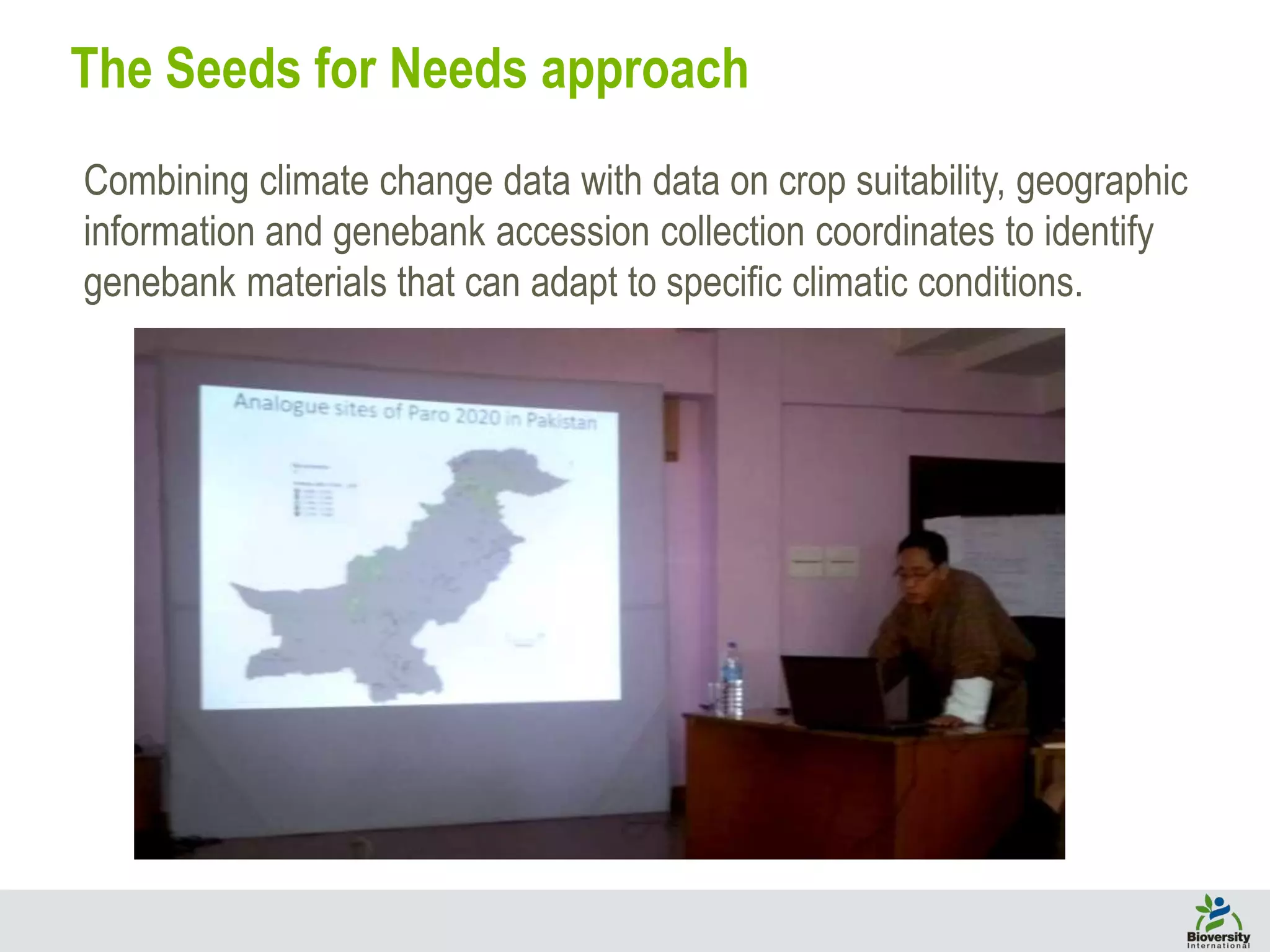 The Seeds for Needs approach
Combining climate change data with data on crop suitability, geographic
information and genebank accession collection coordinates to identify
genebank materials that can adapt to specific climatic conditions.
 