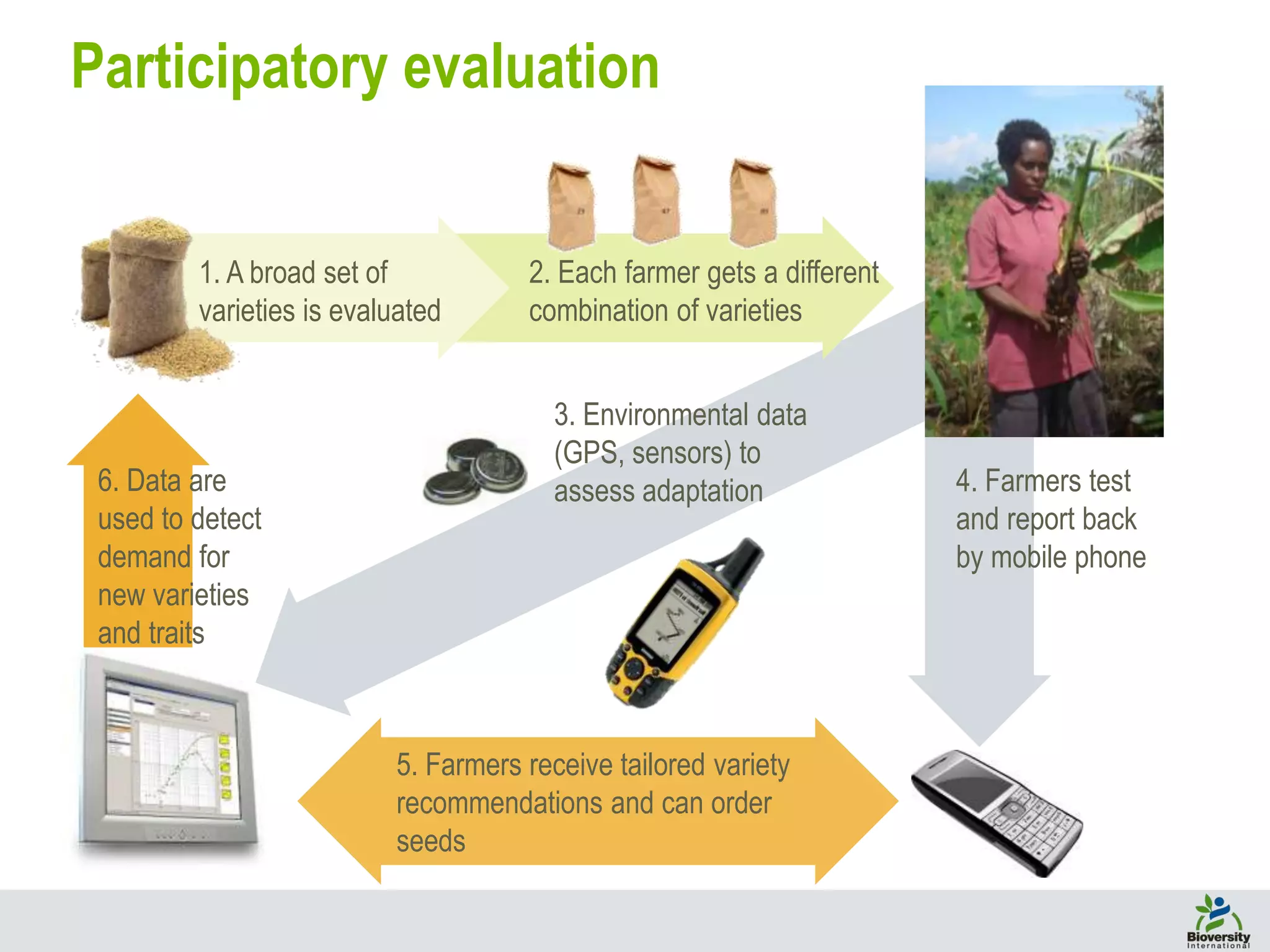 4. Farmers test
and report back
by mobile phone
2. Each farmer gets a different
combination of varieties
3. Environmental data
(GPS, sensors) to
assess adaptation
1. A broad set of
varieties is evaluated
6. Data are
used to detect
demand for
new varieties
and traits
5. Farmers receive tailored variety
recommendations and can order
seeds
Participatory evaluation
 