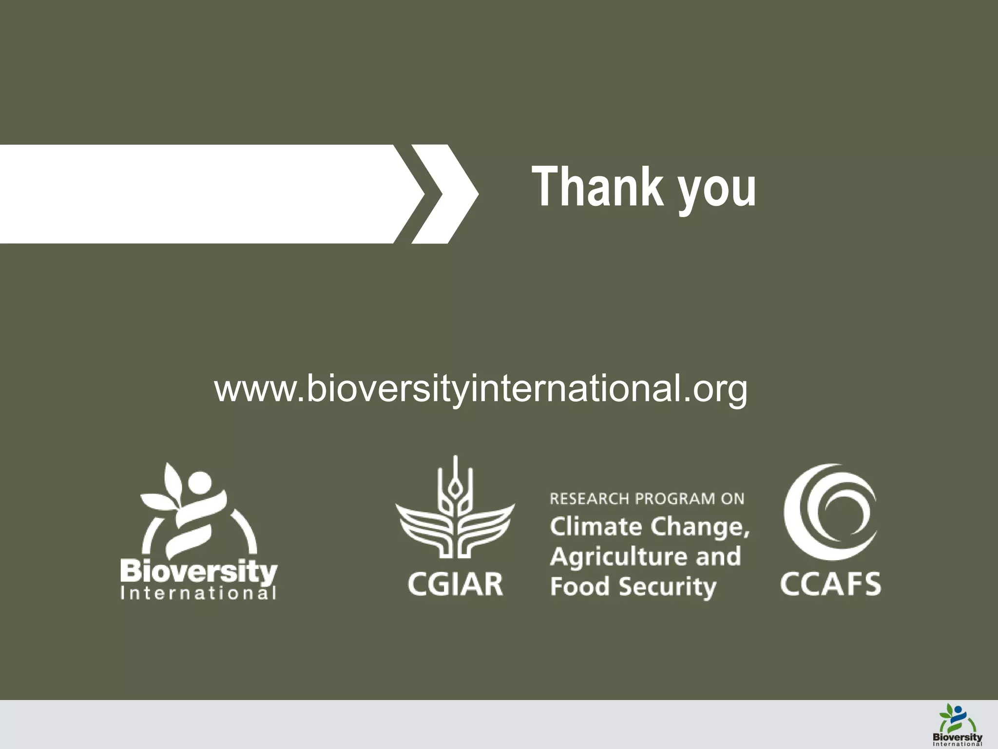 www.bioversityinternational.org
Thank you
 
