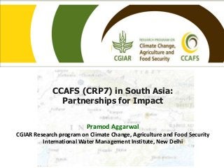 CCAFS (CRP7) in South Asia:
Partnerships for Impact
Pramod Aggarwal
CGIAR Research program on Climate Change, Agriculture and Food Security
International Water Management Institute, New Delhi
 