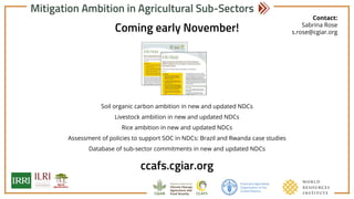 Achieving NDC Ambition in Agriculture: Mitigation ambition in new & updated NDCS - Soil carbon, livestock & rice sub-sectors