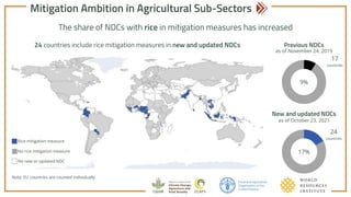 Achieving NDC Ambition in Agriculture: Mitigation ambition in new & updated NDCS - Soil carbon, livestock & rice sub-sectors