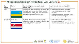 Achieving NDC Ambition in Agriculture: Mitigation ambition in new & updated NDCS - Soil carbon, livestock & rice sub-sectors