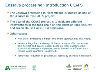 Cassava processing: Introduction CCAFS
2
 The Cassava processing in Mozambique is studied as one of
the 4 cases in this C...