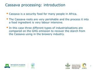Cassava processing: introduction
3
 Cassava is a security food for many people in Africa.
 The Cassava roots are very pe...