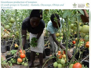 Youth and CSA: Lessons and Experiences from CCAFS East Africa