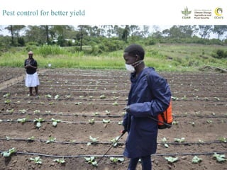 Youth and CSA: Lessons and Experiences from CCAFS East Africa