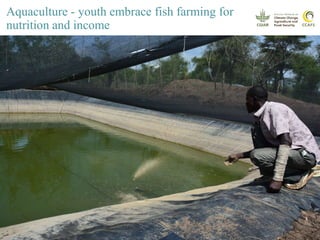 Youth and CSA: Lessons and Experiences from CCAFS East Africa