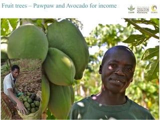 Youth and CSA: Lessons and Experiences from CCAFS East Africa