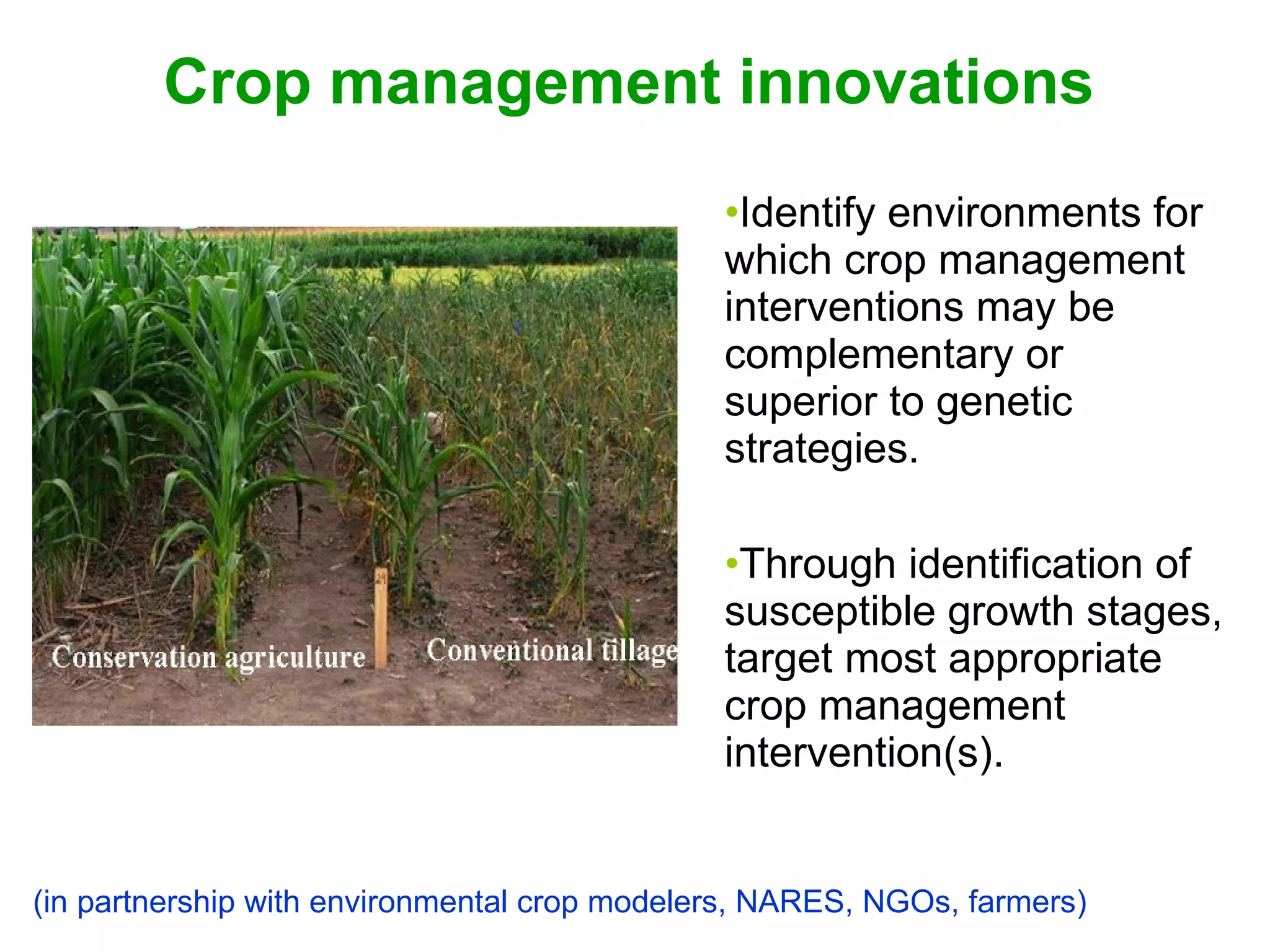 Crop management innovations Identify environments for which crop management interventions may be complementary or superior to genetic strategies. Through identification of susceptible growth stages, target most appropriate crop management intervention(s). (in partnership with environmental crop modelers, NARES, NGOs, farmers) 