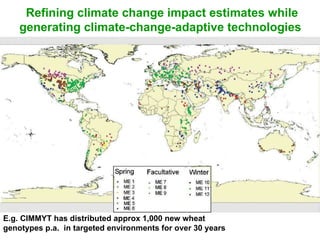 Refining climate change impact estimates while generating climate-change-adaptive technologies E.g. CIMMYT has distributed approx 1,000 new wheat genotypes p.a.  in targeted environments for over 30 years  